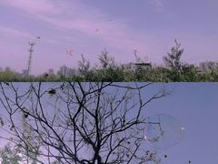 -西安青龙寺遗址景区