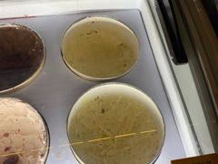-牛New寿喜烧(金鹰世界店)
