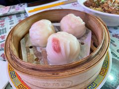 -憶廟街 X 沙角邨(太古城店)