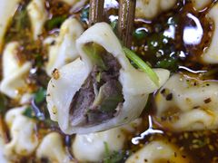 酸汤饺子-回坊马二饺子馆