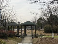 -白塘生态植物园