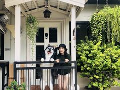 -TrueLove @ Neverland (Husky Cafe)
