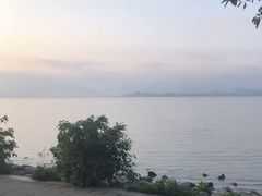 -深圳湾公园(南山区)