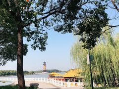 -溱湖国家湿地公园