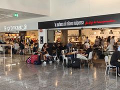 -米兰马尔彭萨国际机场