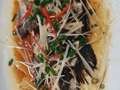 -山海经·海边人家 海鲜新青岛菜(扬州路店)