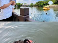 -无锡动物园·太湖欢乐园