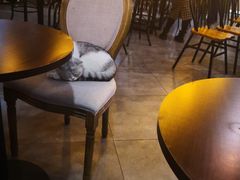 大堂-共舞时光猫咖·狗咖(新街口店)