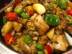 石锅牛蛙-新白鹿餐厅(百联中环店)