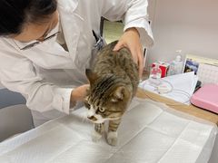 -邢大夫动物医院