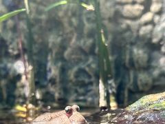 -海合安天津极地海洋公园