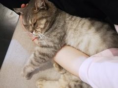 -天使咖啡(兴新街店)