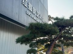 -罗红摄影艺术馆