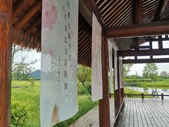 -良渚古城遗址公园
