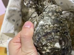 -HIHE Bistro·Oyster Bar(华熙live店)
