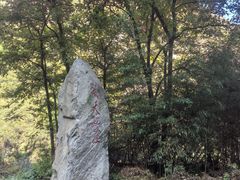 -少华山国家森林公园