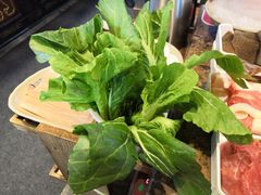 小白菜-小龙坎老火锅(北京三里屯店)