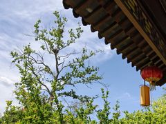 -南阳卧龙岗武侯祠