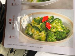 -云中小雅