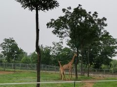 -石家庄市动物园