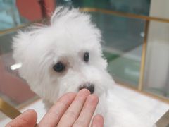 -FAELING PETS美天灵宠物(合生汇店)