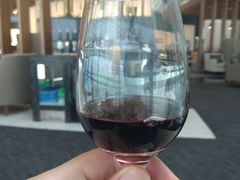 -虹桥机场国航贵宾室v8