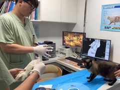 -达爱动物医院·犬猫分区·CT·复杂眼科(远洋山水分院)