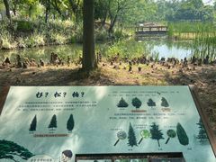 -梁鸿国家湿地公园