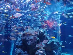 -成都浩海立方海洋公园