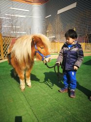 -萌宠亲子动物乐园(槐房万达店)