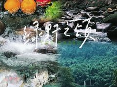 -紫云谷景区