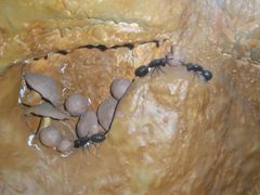 -上海昆虫博物馆