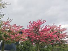 -风云岭森林公园