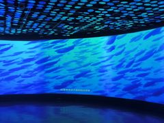 -同济大学四平路校区深海探索馆