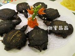 IMG_2822一品药膳手撕鳖-紫阳家宴(源深店)
