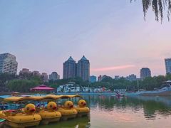 -紫光园·烤鸭·北京菜(团结湖店)