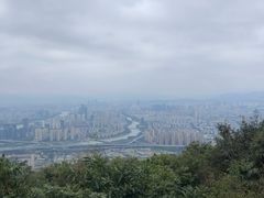 -愿者上钩·纸包鱼(翻身店)