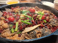 -老板恋上鱼(恒隆广场店)