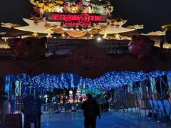 -灵玲国际马戏城