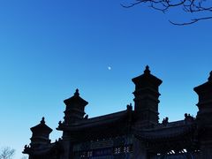 -天津大悲禅院