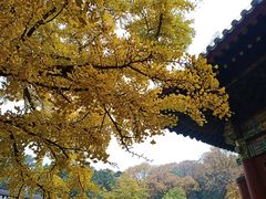 -红螺寺