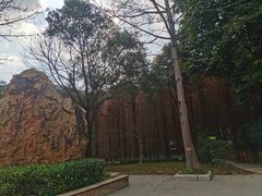 -广州市帽峰山景区
