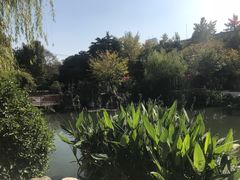 -郑和公园