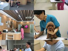 -爱妮康宠物医院·干细胞免疫细胞·肿瘤·心脏(张江店)