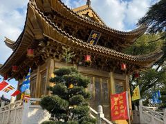 -上海东林寺(金山区)