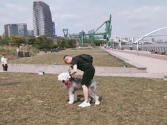 -栖露营camping·天幕烧烤·团建拓展·采摘营地