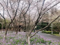 -白塘生态植物园