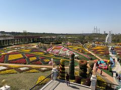 -上海浦江郊野公园-5号停车场