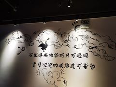-MR鹅外