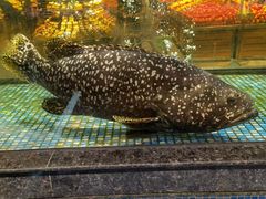 -旺豪海鲜餐厅(友谊阳光城店)